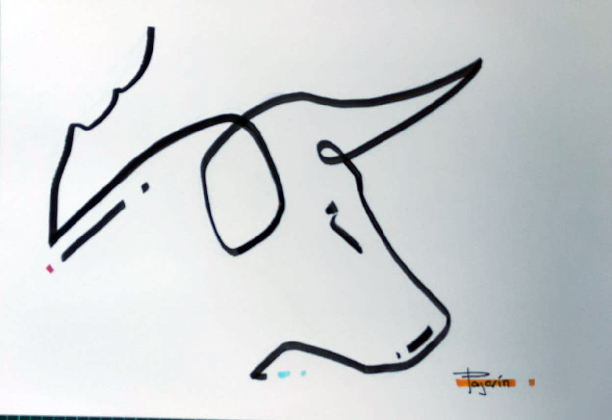 Toro