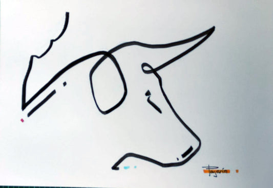 Toro